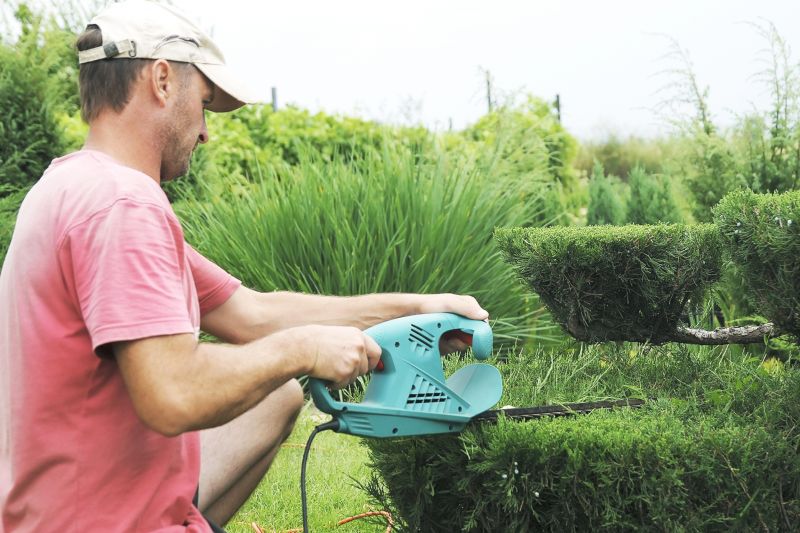 Topiary Trimming Service