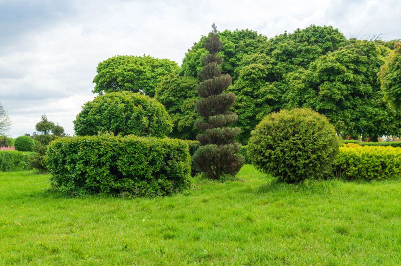 Shrub Pruning in Aiken, SC