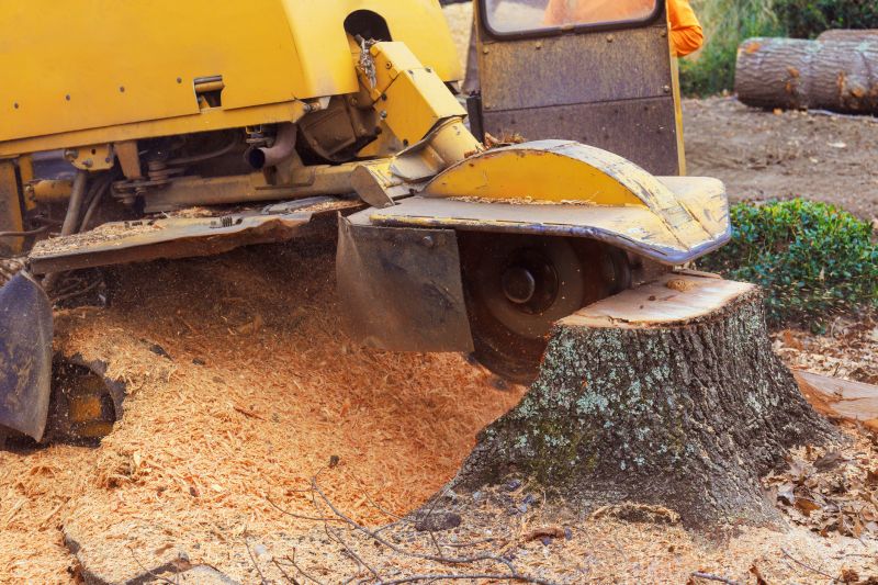 Bush Stump Grinding in Waldorf, MD