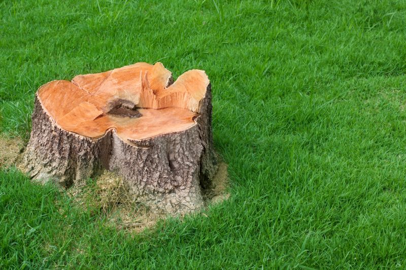 Bush Stump Grinding in Calvert County, MD