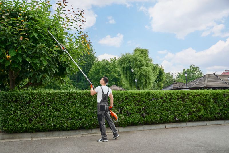 Commercial Shrub Trimming in Honolulu, HI