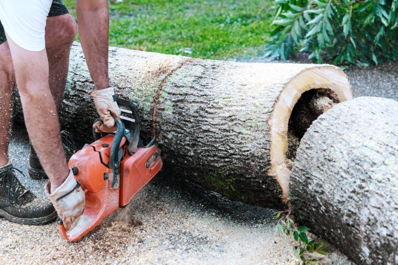 Commercial Tree Removal in Reno, NV