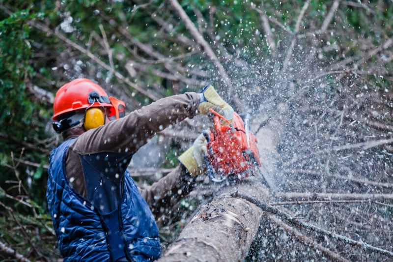 Commercial Tree Trimming in Pottstown, PA