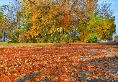 Autumn Leaf Mulching