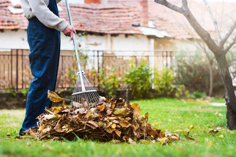 Cleaning Up Fallen Leaves