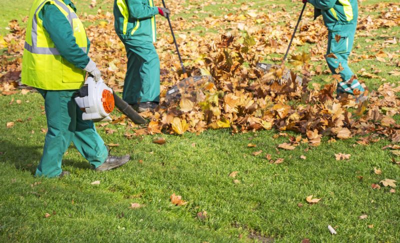 Leaf Blowing Techniques