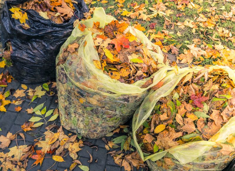Collecting and Bagging Leaves