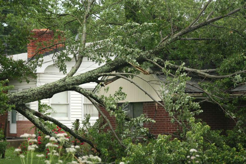 Fallen Tree Removal in Pottstown, PA