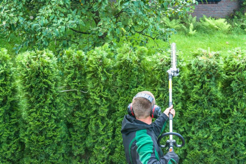 Hedge Trimming in Rockwall, TX