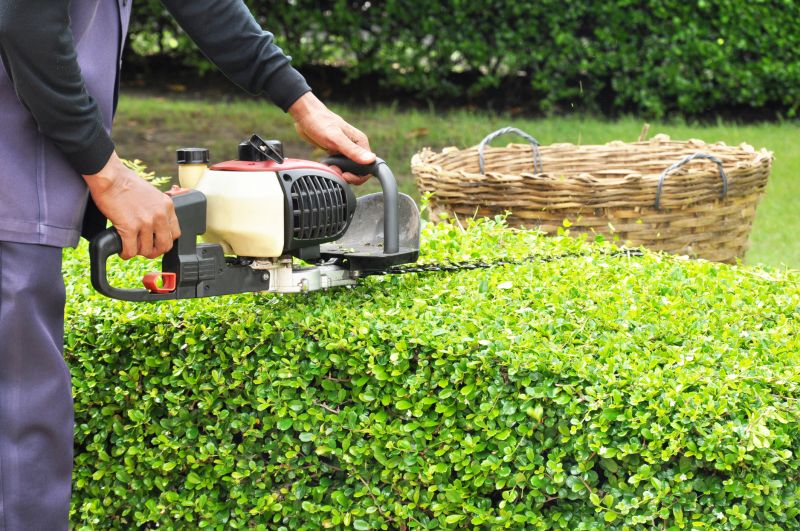 Hedge Trimming in Rockwall, TX