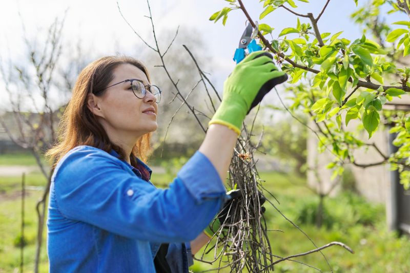 Orchard Tree Pruning in Pottstown, PA