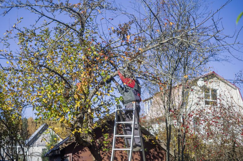 Residential Tree Service in Allentown, PA