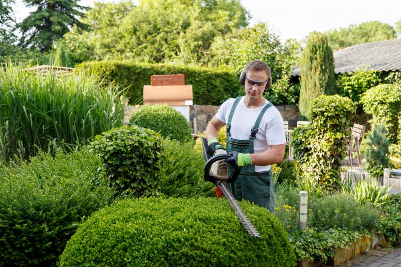 Shrub Shaping in Ventura County, CA