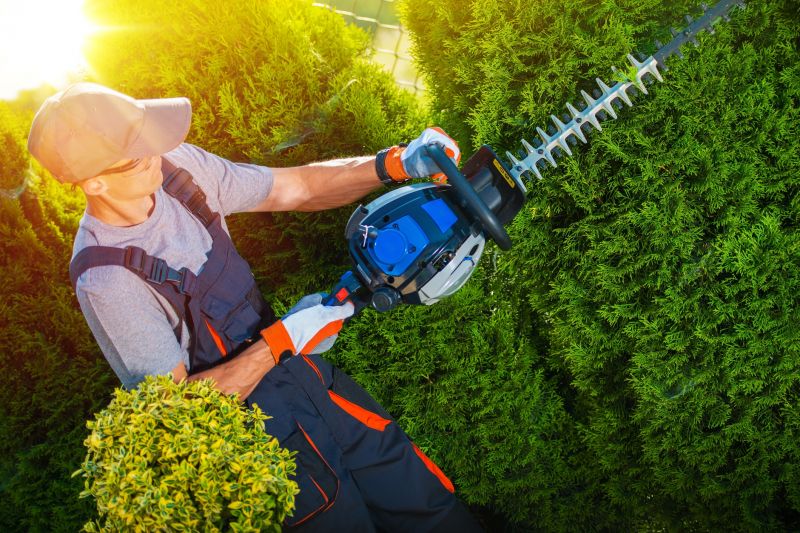 Shrub Trimming in Aiken, SC