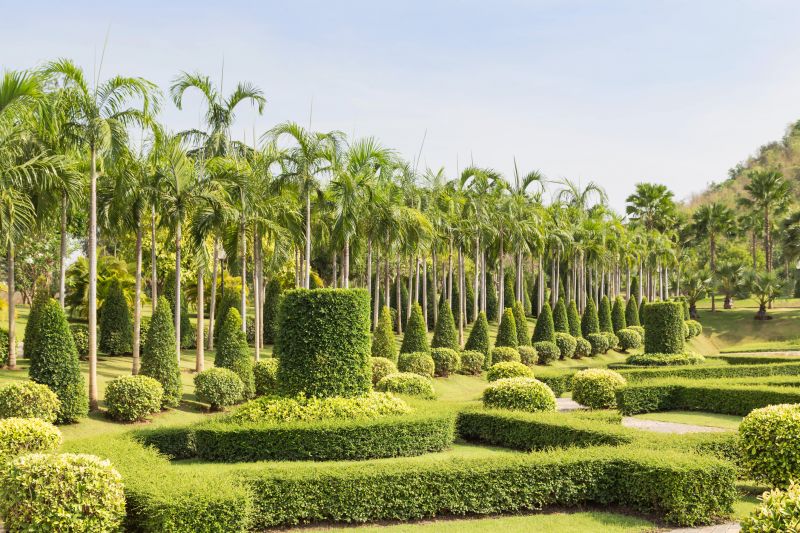 Healthy Topiary Shrubs