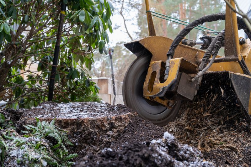 Tree Root Grinding in Waldorf, MD
