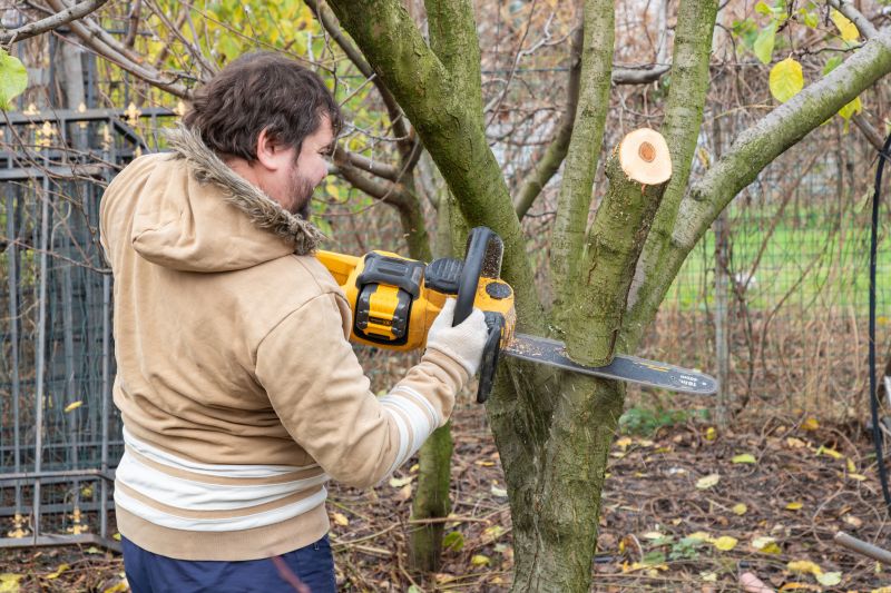Tree Service in Allentown, PA